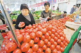 蔬菜價(jià)格四周累計(jì)回落6.3%，食用農(nóng)產(chǎn)品批發(fā)態(tài)勢分析